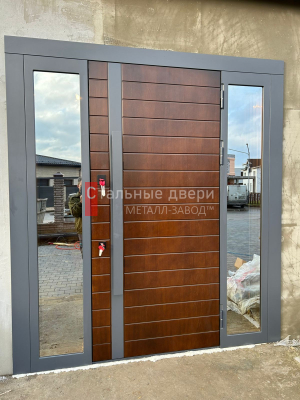 Фото двери №342