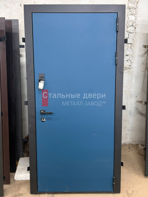 Фото двери №298