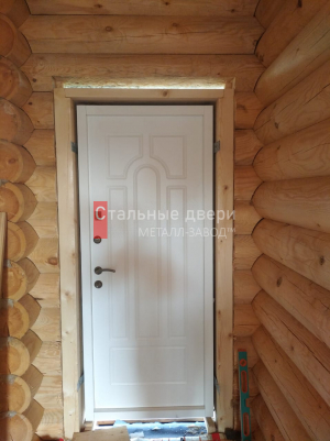 Фото двери №131